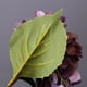 thumbnail image 5 of Injueey 5x Bajo mantenimiento Durable - Juego de plantas artificiales de larga duración para amantes de los entornos que admiten mascotas Type3 NO3, 5 of 6