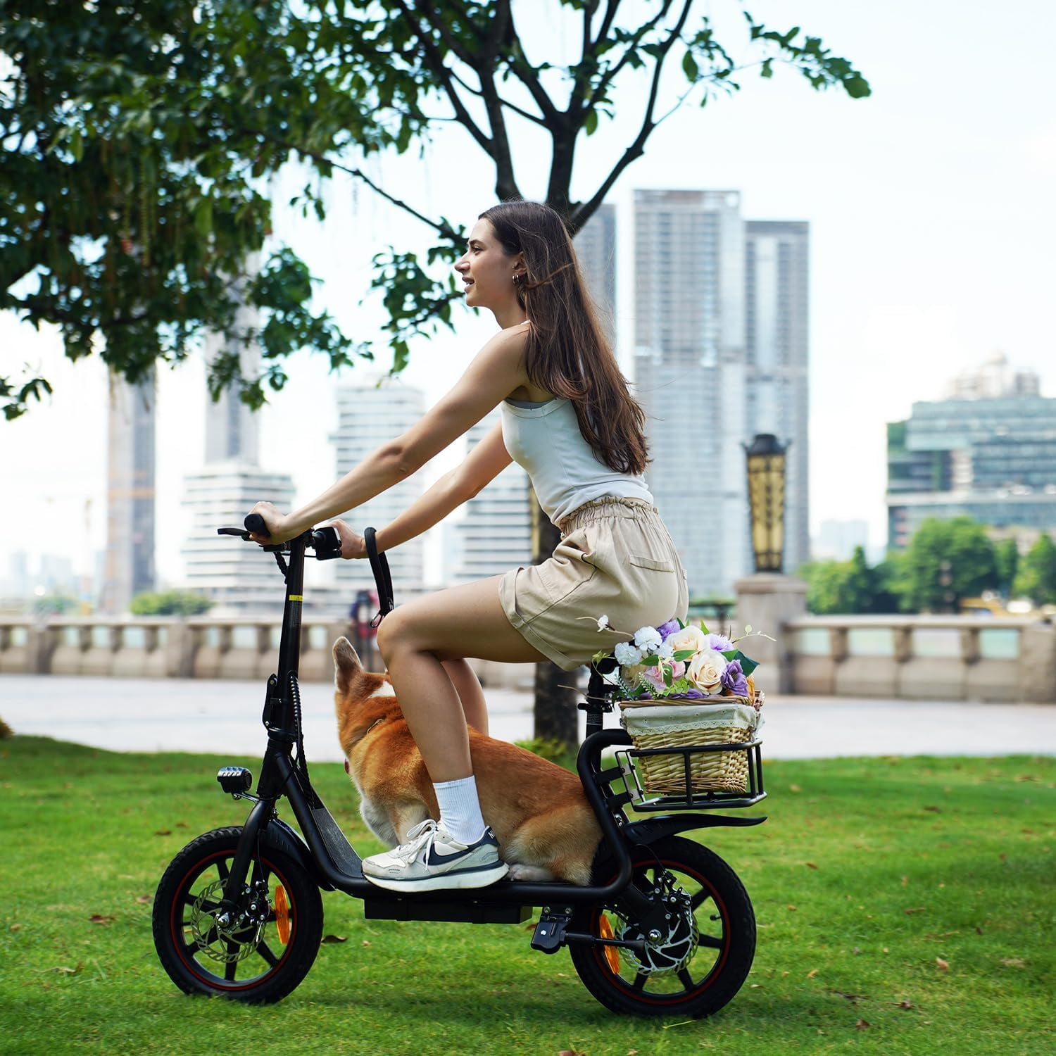 DYU 14" Foldable Electric Scooter for Adults - 500W Peak Motor, 36V 10AH Li-ion Removable Battery, City Commuter E Bike with Cargo Capability, Ideal for Urban Riding UL2849