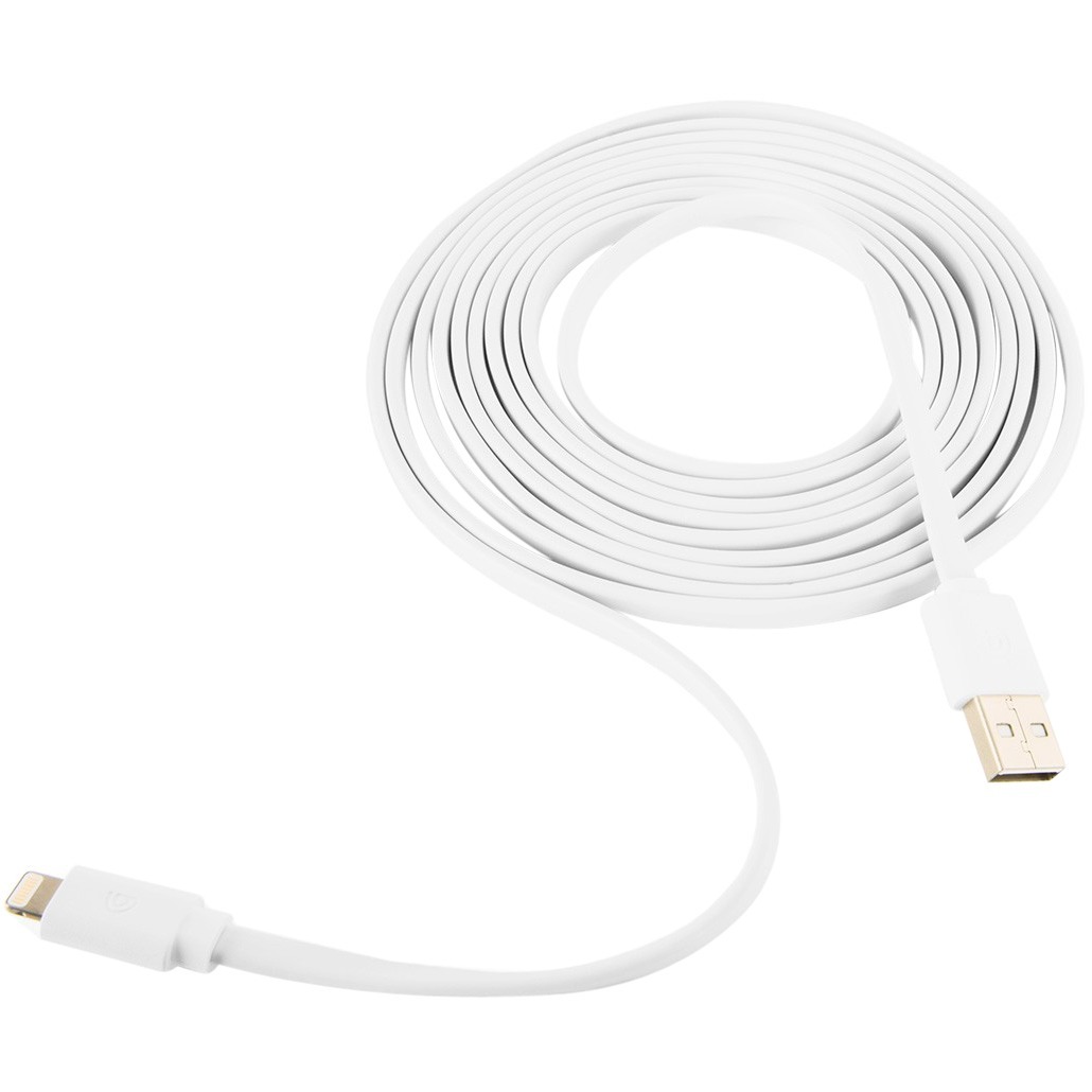 Usb To Lightning Cable 10Ft In White