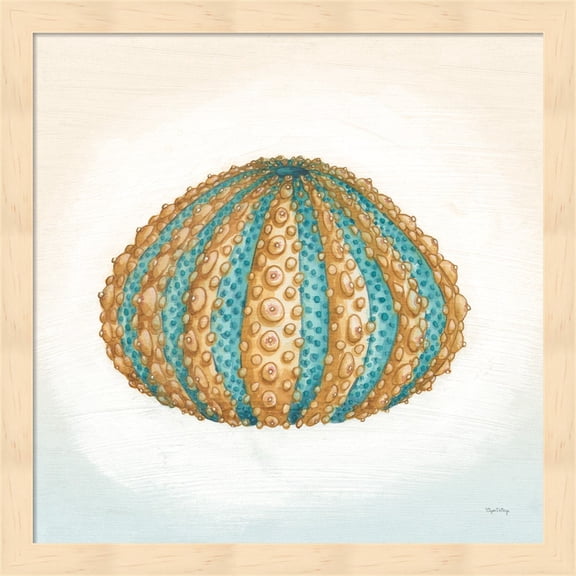 Boardwalk Urchin by Elyse DeNeige, Framed Wall Art, 13.25W x 13.25H