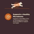 thumbnail image 6 of Wellness CORE Digestive Health Dry Dog Food, Chicken & Brown Rice Dry Dog Food, 4 Pound Bag, 6 of 10