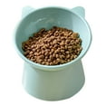 thumbnail image 2 of Cuenco Elevado Para Gatos, Cuenco Elevado Para Comida Y Agua Para Mascotas, Antivómitos, Platos De Comida Para Perros Y Gatitos, Plato Inclinado Para Gatos, Comedero Para, 2 of 8