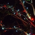thumbnail image 3 of SoftTwinkle LED Red and White Christmas Mini Twinkle Lights, 50 CT, 17 ft, Green Wire, Connectable, 3 of 6