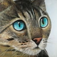 thumbnail image 2 of Atelier B Art Studio 12x12 Black Ornate Wood Framed with Double Matting Museum Art Print Titled - Curious Cat Portrait, 2 of 4