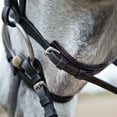 thumbnail image 3 of Horze Weston Flash Bridle w/ Reins, 3 of 6