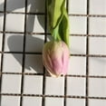 thumbnail image 4 of 5 Mini Tulips Mw08081 Clearance! Artificial Flowers Bouquet Floral Wedding Bouquet Party Home Decor, 4 of 4
