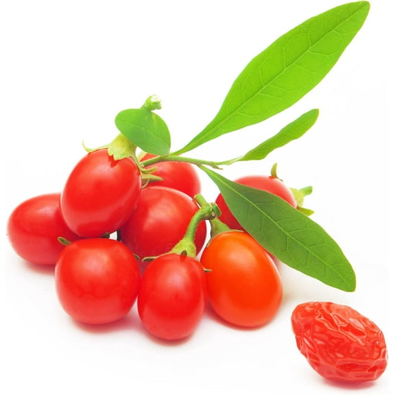 Goji Berry Seeds to Grow - 100 Seeds - Grow an Exotic Fruit Bearing Tree - So Fun. Must Try!
