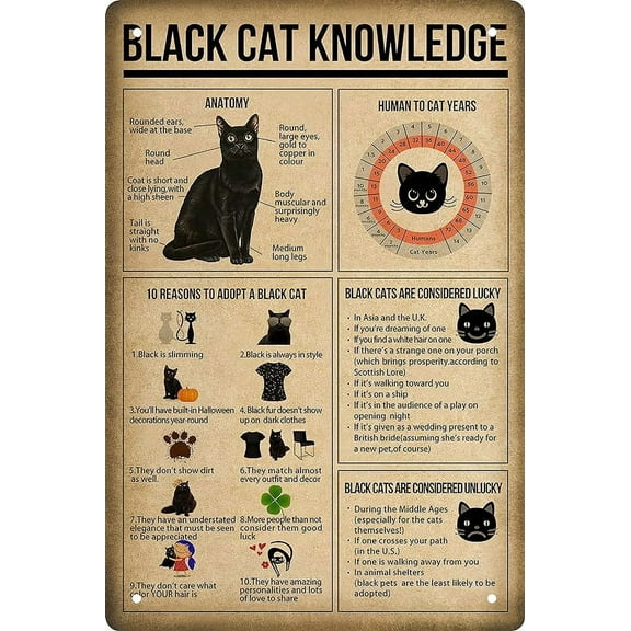 Funny Black Cat Knowledge Quote Poster Vintage Metal Signs for Bedroom Family Signs For Home Decor Wall Man Cave Sign Garage Signs Cat Lovers Gift 8 X 12 in