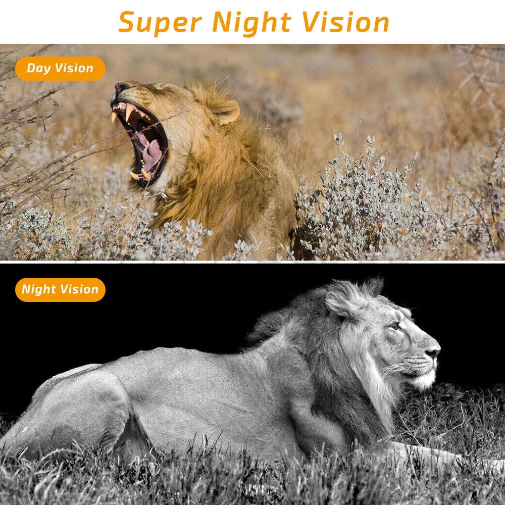 Mini Trail Camera 1080P HD Wildlife Scouting Hunting Game Camera with IR Night Vision Waterproof Video Camera