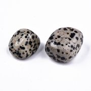 Natural Dalmatian Jasper Beads Healing Stones for Energy Balancing Meditation Therapy Tumbled Stone Vase Filler Gems No Hole/Undrilled Nuggets 19~30x18~28x10~24mm 250~300g/bag 1Bag