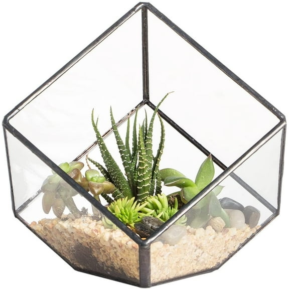 NCYP Small 3.93 Inches Geometric Glass Terrarium Box, Inclined Cube Clear Decorative Planter, Tabletop Air Plant Holder, Succulent Display Flower Pot, Black Centerpiece (No Plants, No Lid)