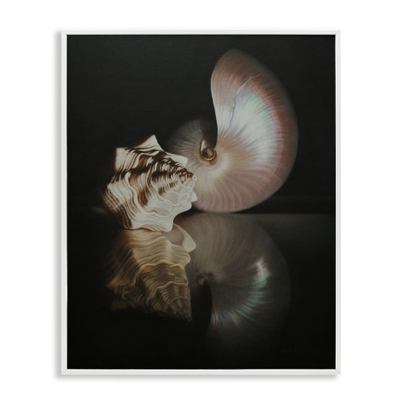 Stupell Industries Coastal Dark Sea Shells Still Life White Framed Giclee Art, 11 x 14, by Cecile Baird