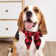 thumbnail image 5 of Festive Pet Dog Collar with Bells and Bows, Christmas Holiday Winter Party Decoration for Small Medium Dogs, Cute Soft Knitted Neckwear for Puppy Cat Photo Props, 5 of 6
