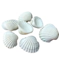 thumbnail image 1 of Conchas marinas naturales para decoración DIY, paisajes acuáticos, manualidades y más – variedad de tamaños y estilos, ideal para bodas, fiestas y decoración del hogar., 1 of 6