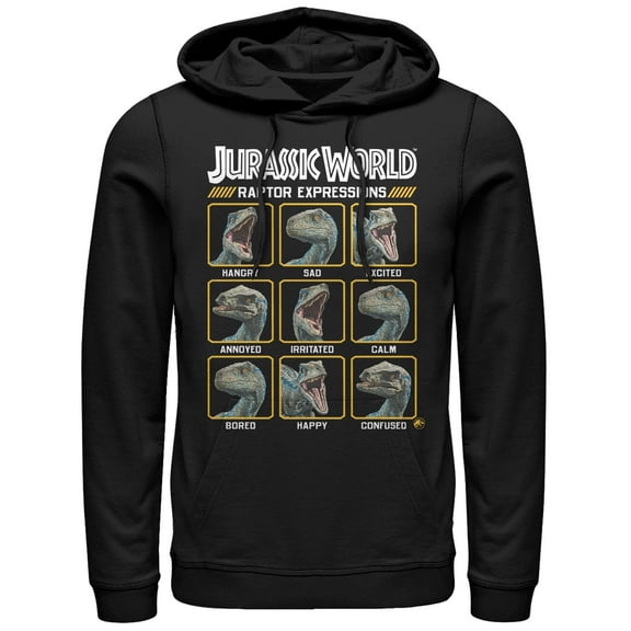 Men's Jurassic World: Fallen Kingdom Raptor Expressions Pull Over Hoodie Black Medium