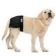 thumbnail image 5 of Pañales sanitarios para perros y hembras, lavables, para perros Negro XL, 5 of 9