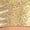 Gold, variant on YiZYiF Girls Sequin Tassel Crop Top and Metallic Flared Pants Shiny Rave Party Shows Jazz Disco Dance Outfit Set Hot Pink 12