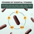 thumbnail image 5 of Real Science Nutrition Offers Tissue Restore Complex, Circulation & Recovery Support with Nitric Oxide, A Natural Healing Support Supplement, 60 Capsules, 5 of 9