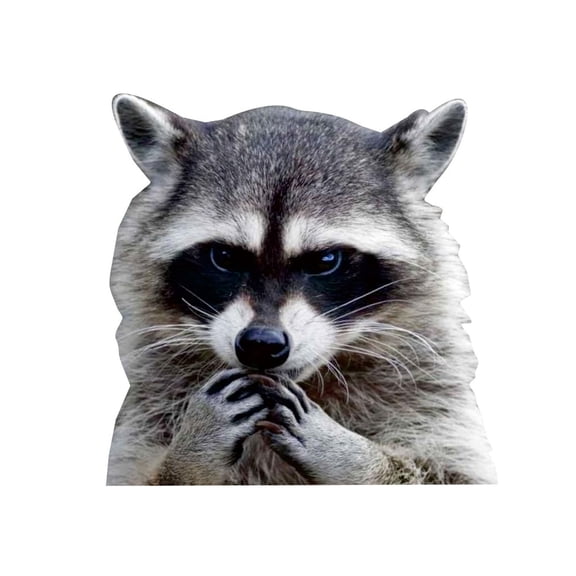 Auto Body Side Animals Stickers Waterproof Raccoon Pattern Car Stickers Anti-Scratch Car Side Window Decal for Car Decor (1PC)