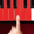 thumbnail image 4 of RUNROTOO 1 Set Plastic Piano Keytops for Key Protection with Piano Keyboard Stickers, 4 of 8