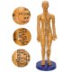 thumbnail image 1 of Modelo De Acupuntura Del Cuerpo Humano, Modelo De Acupuntura Corporal De Material De PVC Práctico, Enseñanza Para El Modelo De Masaje En El Hogar ANGGREK No, 1 of 7