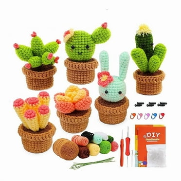 DIYCT Crochet Kit for Beginners - Complete Crochet Kits with Stitch by Stitch Video Tutorial, Beginner Crochet Kit for Adults Kids Gift - Starter Easy Learn to Crochet Succulent Plants Family