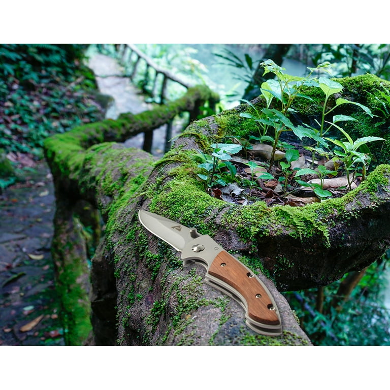 Ozark Trail 3.25-Inch Folding Knife - Walmart.com Ozark Trail 3.25-Inch Folding Knife - Walmart.com