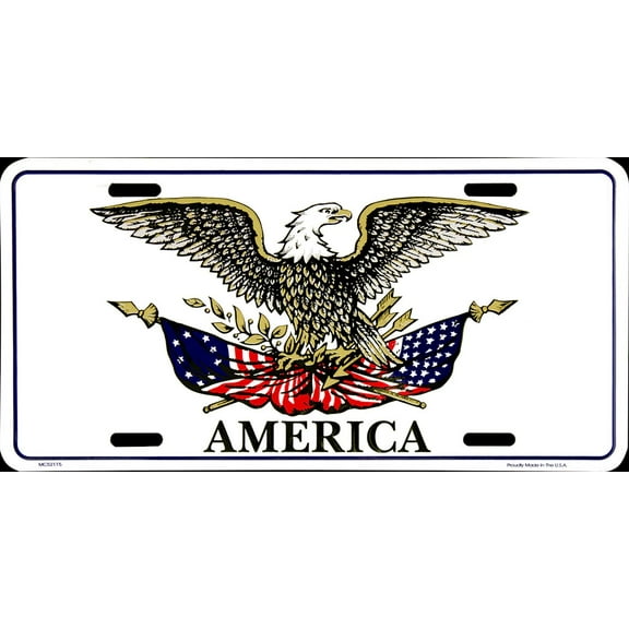 Hangtime American Eagle Holding Flag 6x12 License Plate