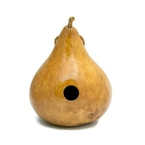 Gourd Birdhouse Natural