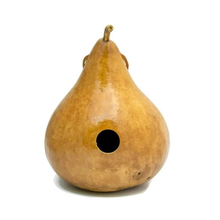 Gourd Birdhouse Natural