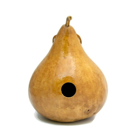 Gourd Birdhouse Natural