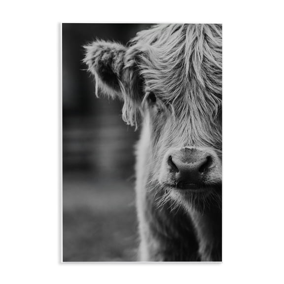 Baby Cow Face Wall Plaque Art, design by Amy Carroll
