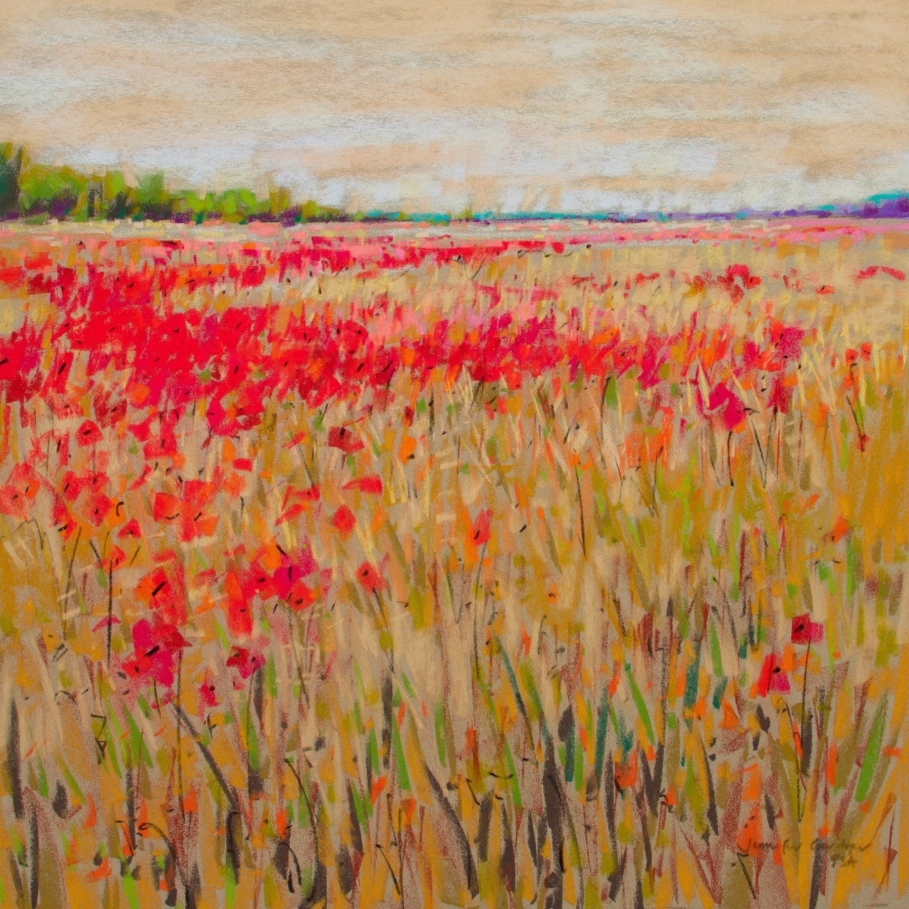 "Poppies Evening Light XV" Painting Print on Wrapped Canvas