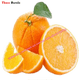 thumbnail image 3 of Pegatinas y calcomanías de frutas frescas Three Ratels M872 para accesorios de coche Toyota Yaris, calcomanías decorativas impermeables, 3 of 5