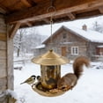 thumbnail image 6 of Tuvgenk Hummingbird Feeder Outdoor Hanging Wild Bird Feeders Iron Decorative Gold Large 7x16 inch, 6 of 6