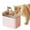 Pink4, variant on Automatic Pet Water Dispenser with USB Port for Cats and Dogs - Filtered Circulating Water Bowl for Indoor and Outdoor Use