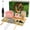 Pink, variant on Matcha Set, 9-Piece Matcha Whisk Set and Matcha Kit with Spouted Matcha Bowl, Bamboo Whisk, Electric Milk Frother, Sifter, Whisk Holder, Scoop, Scoop Rest, and Tea Towel for Matcha Lovers