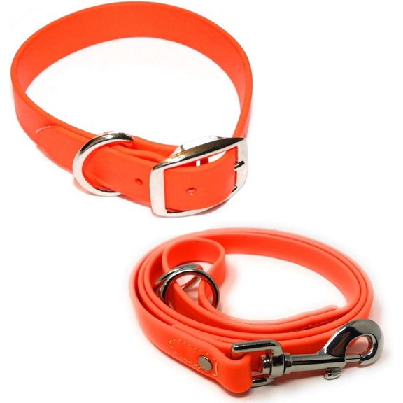 Regal Dog Products Waterproof Collar & 5ft Leash Set Heavy Duty Biothane