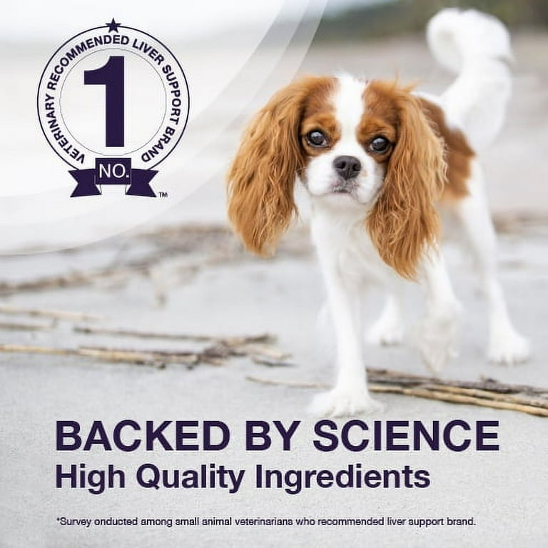 Denamarin Liver Health Supplement Chewable Tablets with SAMe