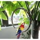 thumbnail image 4 of bird Swing, Cage Hanging Toys Cotton Rope Bite Resistance Perches Toy Parrot Toy Boredom Breaker for Budgie, Cockatiels,Small Parakeets (M 18cm), 4 of 4