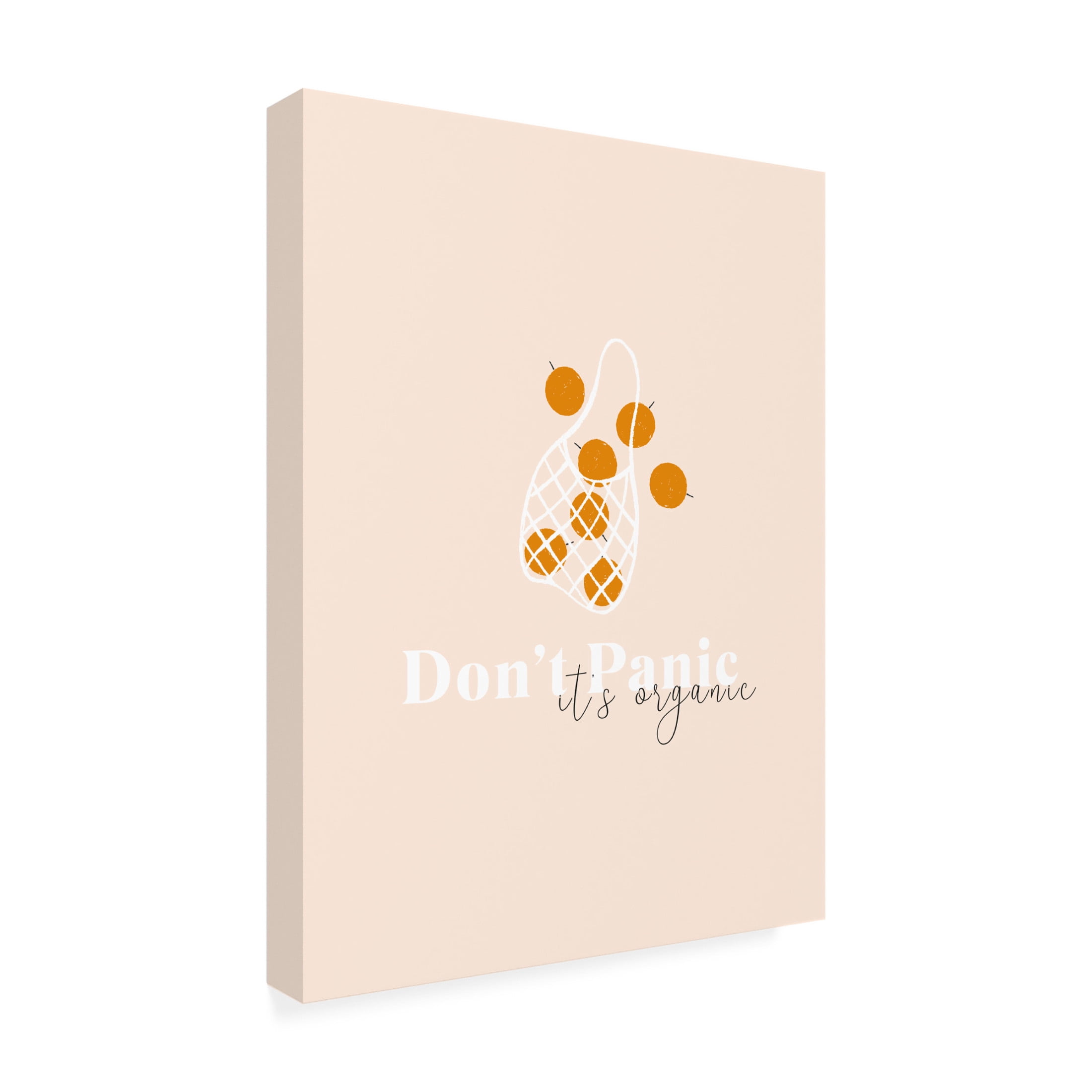 Trademark Fine Art Aislinn Simmonds  Don't Panic It's Organic Canvas Wall Art