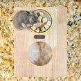 thumbnail image 4 of Viewable Acrylic Small Pets Sand Bath Box - Assemble Hamster Shower & Digging Sand Bathtub Rat Hamster Hideout Sand Bath Container for Lemming Chinchilla Gerbil Little Animal, 4 of 8