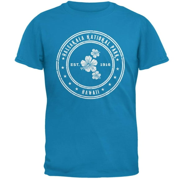 Haleakala National Park Sapphire Blue Adult T-Shirt - Large