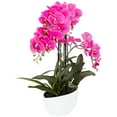 thumbnail image 5 of Dahlia Studios Potted Silk Faux Artificial Flowers Realistic Pink Orchid in Ceramic Pot for Home Decoration Living Room 28" High, 5 of 6