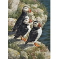 thumbnail image 1 of Cobble Hill 500 Piece Puzzle - Fisherman's Wharf - Sample Poster Included, 1 of 2