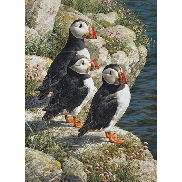 Cobble Hill 500 Piece Puzzle - Fisherman's Wharf - Sample Poster Included