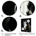 thumbnail image 3 of Designart "Black Horse White Serenity II" Animals Floater Framed Canvas Print, 3 of 7