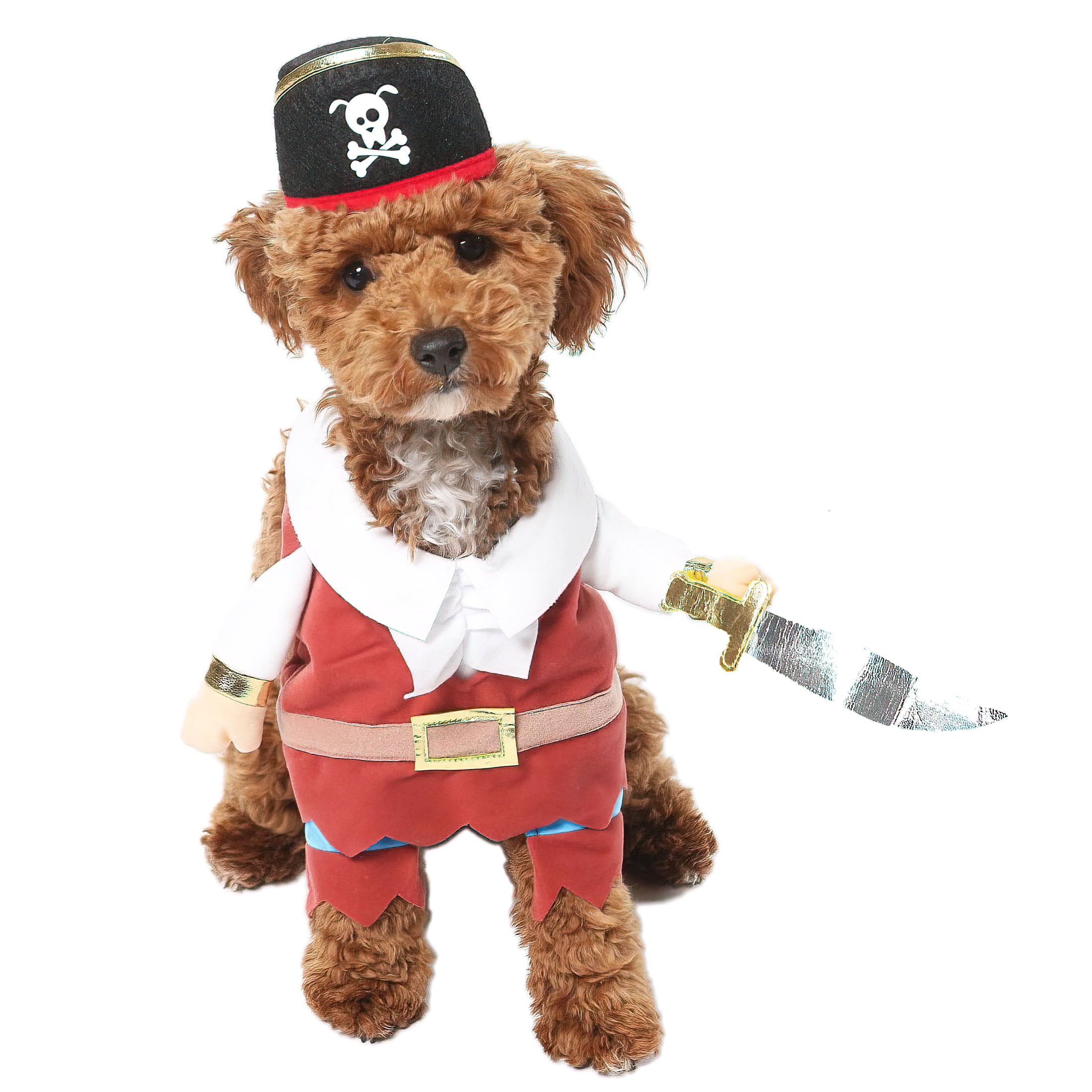Vibrant Life Vl Hw Costume Pirate Small