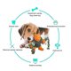 thumbnail image 2 of Juguetes para masticar para la dentición de perros, juguetes para masticar cachorros para perros medianos a grandes, juguetes para la dentición de mascotas, 2 of 5