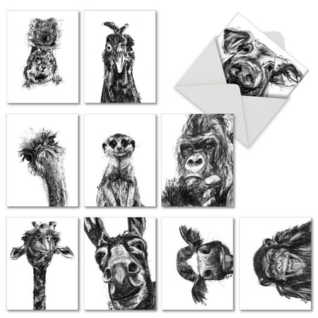 M2956TYG CHARCOAL ANIMALS' 10 Assorted Thank You Cards Featuring Charcoal Black and White Drawings of Animals, with Envelopes by The Best Card (Best Charcoal Brand For Drawing)